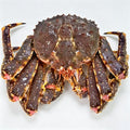 Live Giant King Crab